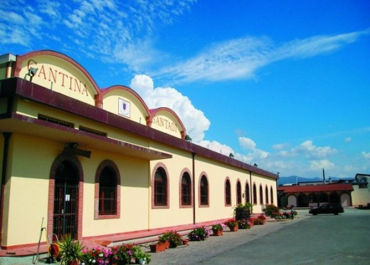 Cantina Santadi, Winzer aus Sardinien